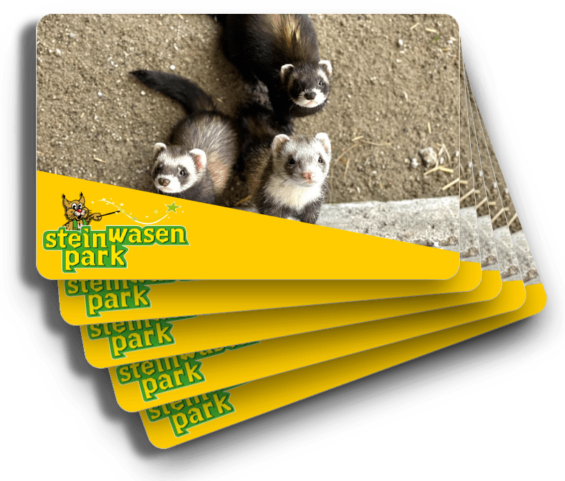 Dieses Bild zeigt einen Preis